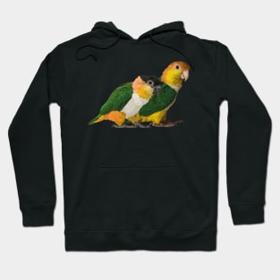 Caiques Hoodie